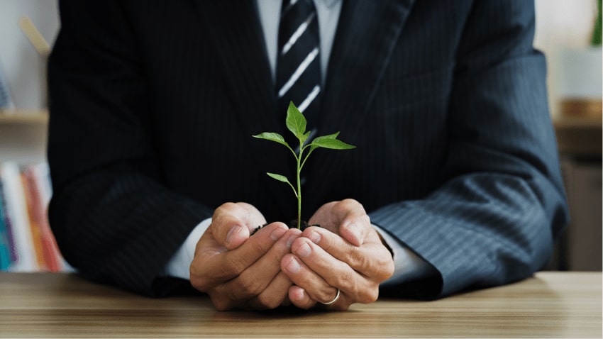 Green Growth: How to Master The Art of Sustainable Branding