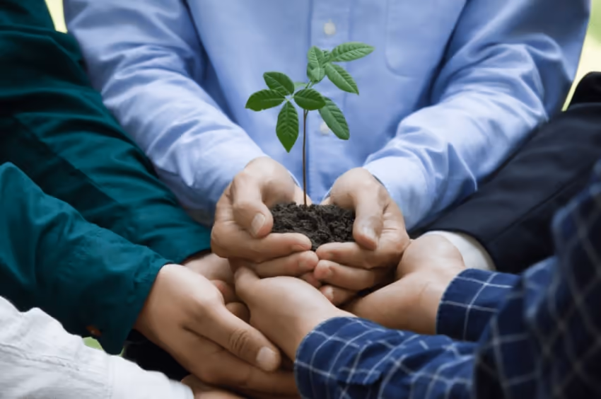 A couple of people holding soil and a plant in their hands A couple of people holding soil and a plant in their hands
