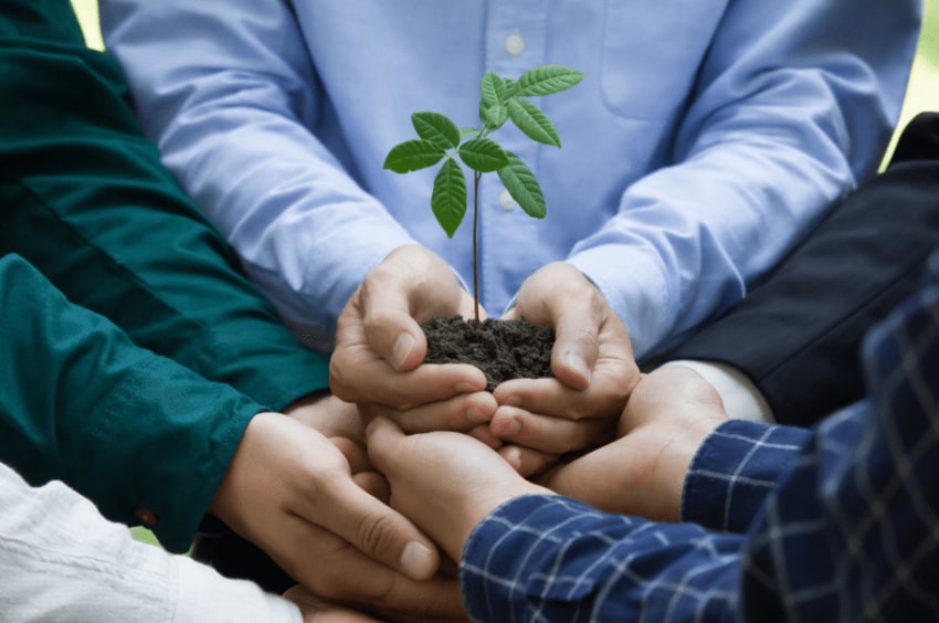 A couple of people holding soil and a plant in their hands
