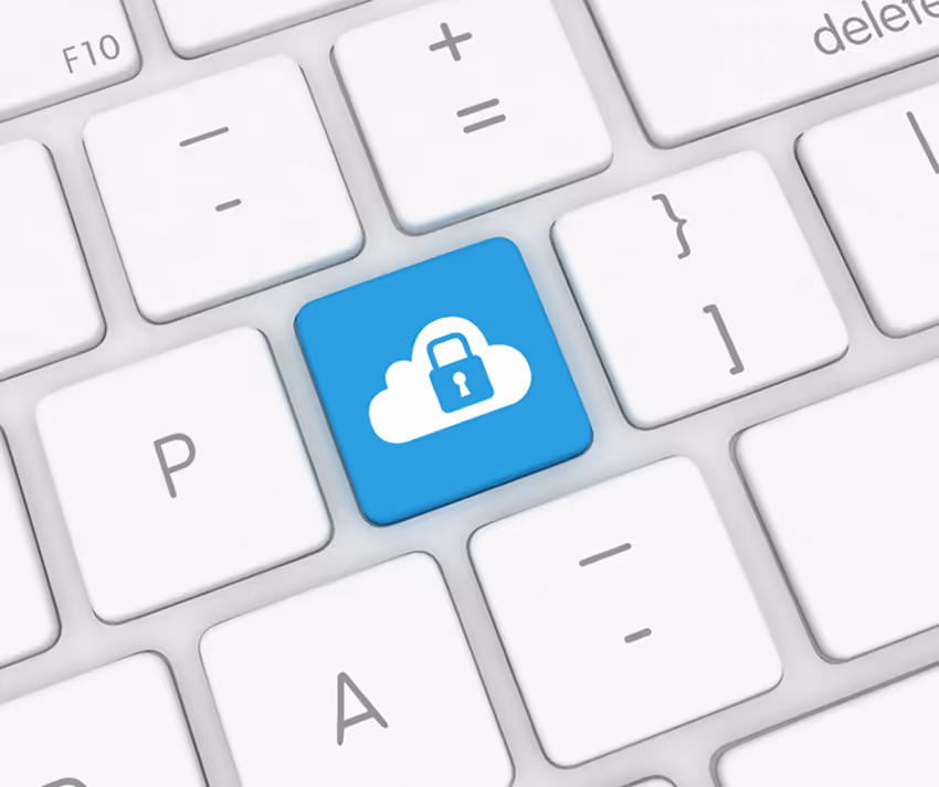Cloud-based SaaS software
