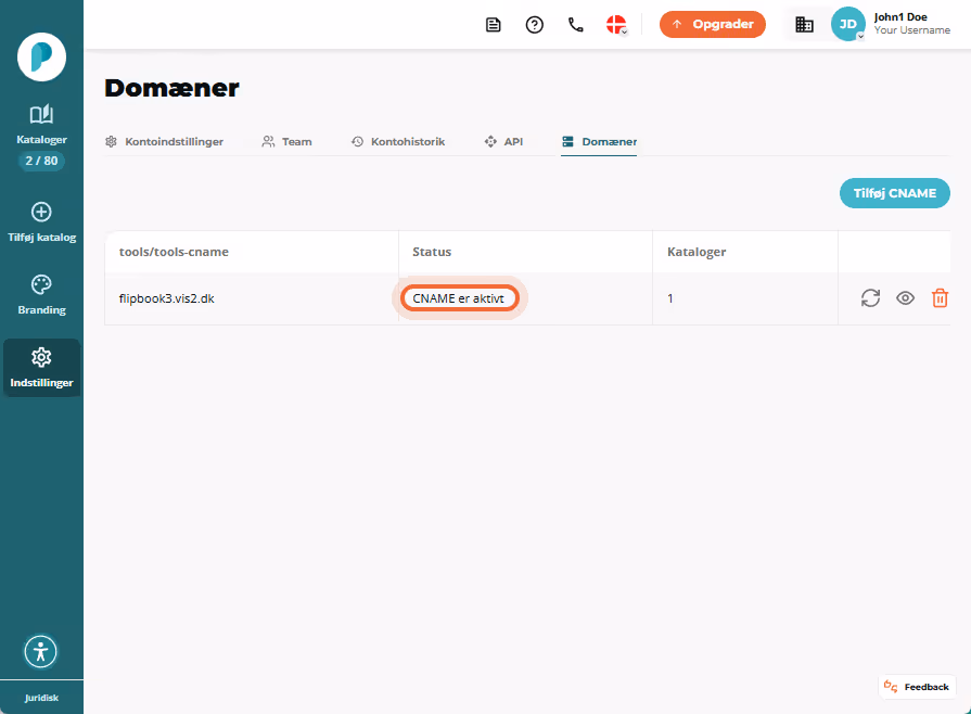 Domains-listen viser en CNAME-post med statusmærket “CNAME activated” fremhævet.
