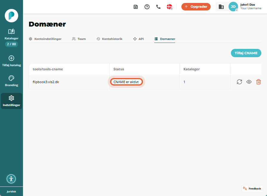 Domains-listen viser en CNAME-post med statusmærket “CNAME activated” fremhævet.