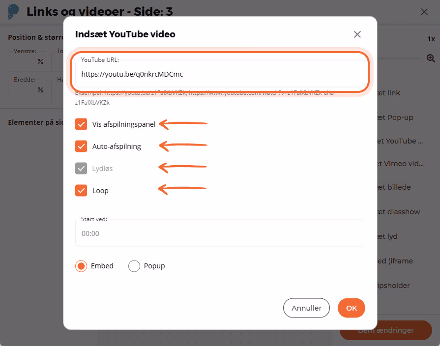 Indstillingsvindue for YouTube-video, der viser video-URL og afkrydsningsfelter for kontrolpanel, au Indstillingsvindue for YouTube-video, der viser video-URL og afkrydsningsfelter for kontrolpanel, au