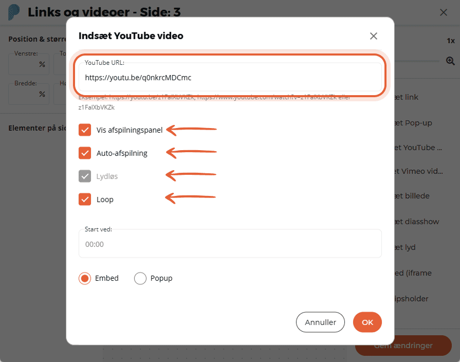 Indstillingsvindue for YouTube-video, der viser video-URL og afkrydsningsfelter for kontrolpanel, au