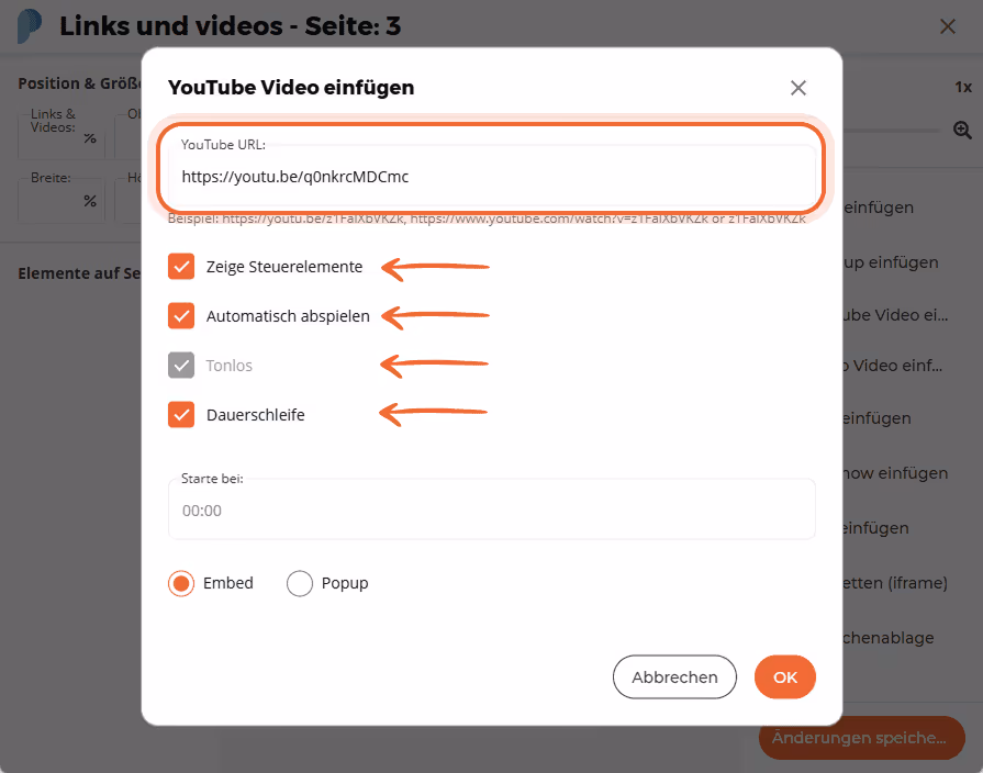 YouTube-Videoeinstellungsfenster mit Video-URL und Kontrollkästchen für Steuerelemente, Autoplay, st YouTube-Videoeinstellungsfenster mit Video-URL und Kontrollkästchen für Steuerelemente, Autoplay, st