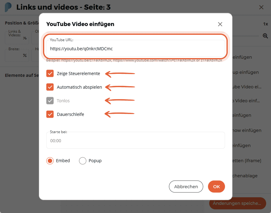 YouTube-Videoeinstellungsfenster mit Video-URL und Kontrollkästchen für Steuerelemente, Autoplay, st