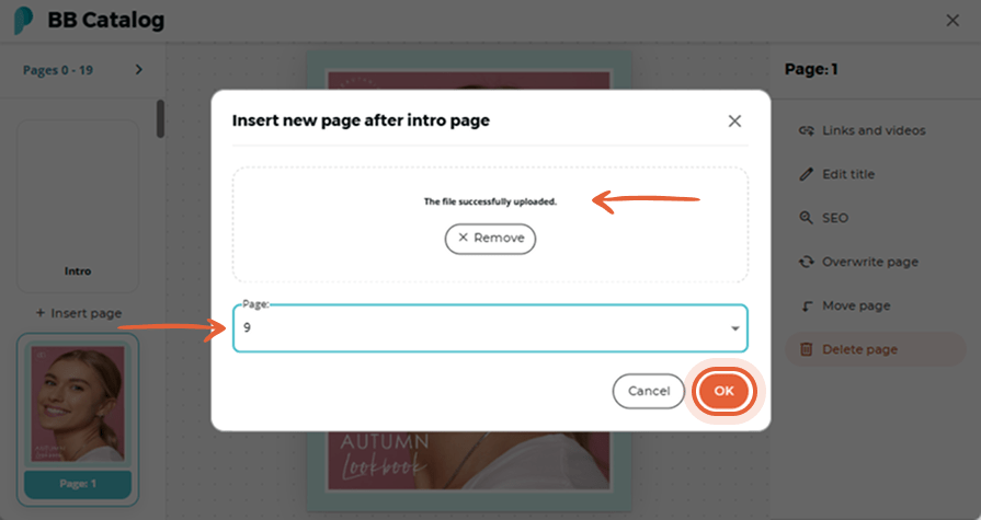Confirmation screen appears after a new page upload, and user sets the insert location