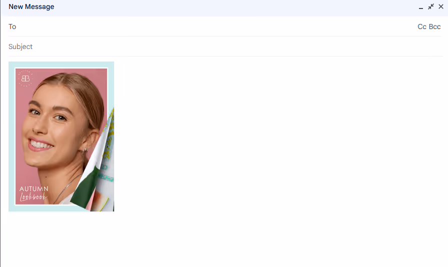 How to copy and paste your flipbook in the email.