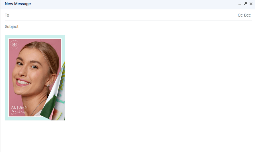 Email composition window with flipbook cover image inserted
