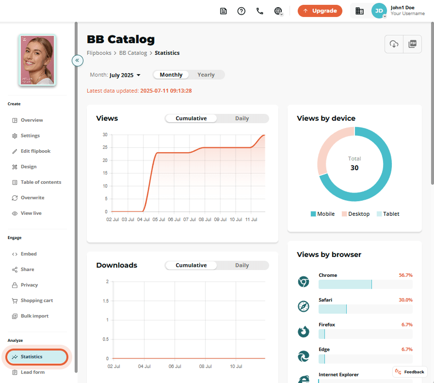 Statistics view showing monthly flipbook data and view breakdown by device and browser.