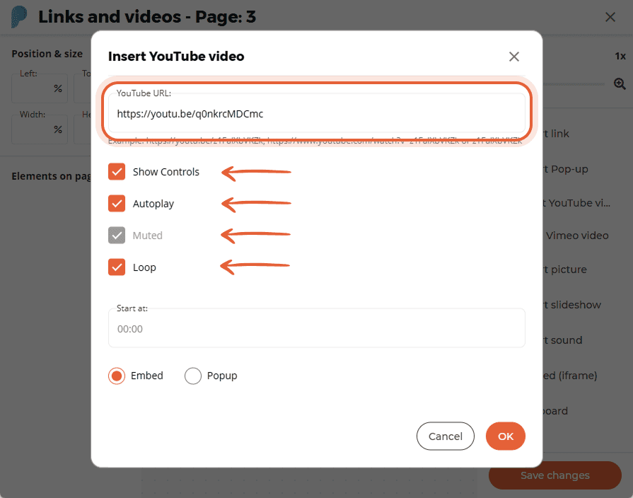 YouTube video settings window showing video URL and checkboxes for controls, autoplay, muted, and lo