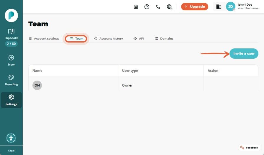 Team settings showing one owner listed; “Team” tab and turquoise “Invite a user” button on the right