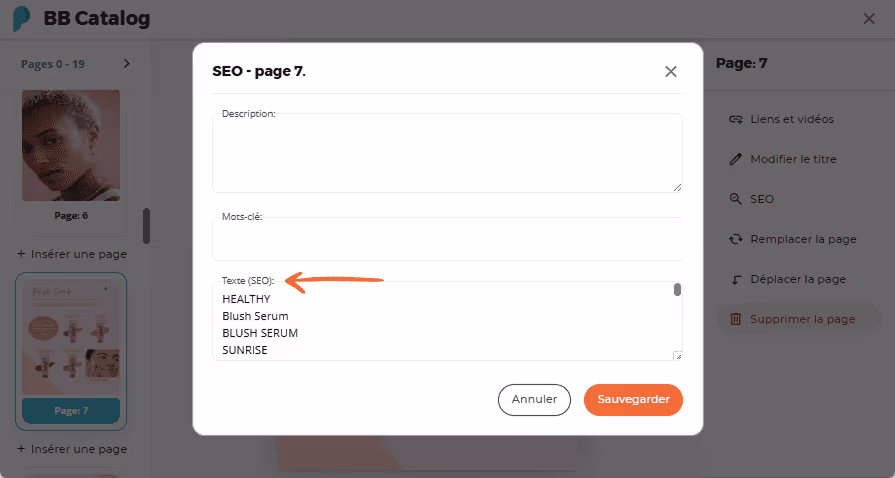Champs de saisie SEO avec mots-clés et texte SEO pour la page 7 du catalogue BB