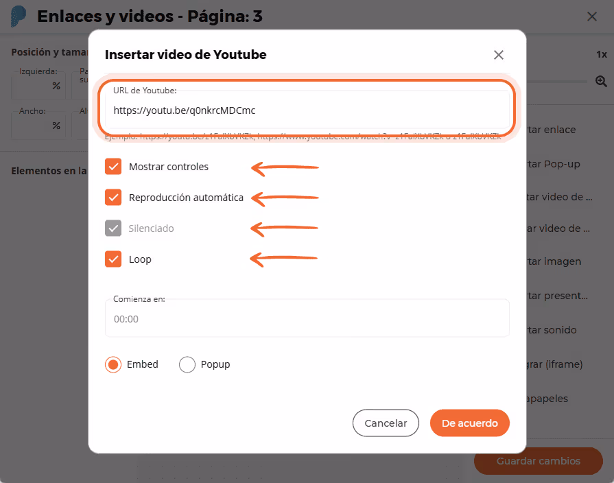 Ventana de configuración de vídeo de YouTube que muestra la URL del vídeo y casillas de verificación