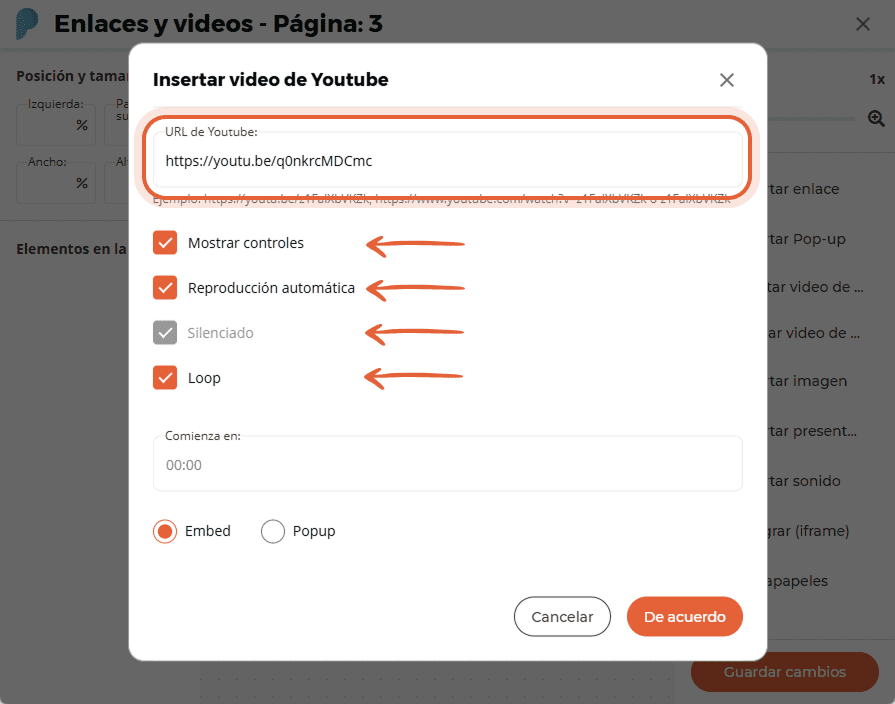 Ventana de configuración de vídeo de YouTube que muestra la URL del vídeo y casillas de verificación