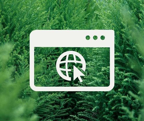 Image of a web icon over a background of evergreen pines