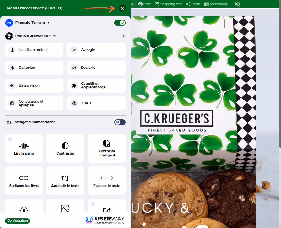 Menu d’accessibilité ouvert dans le logiciel flipbook avec une flèche pointant vers le bouton 'X' po