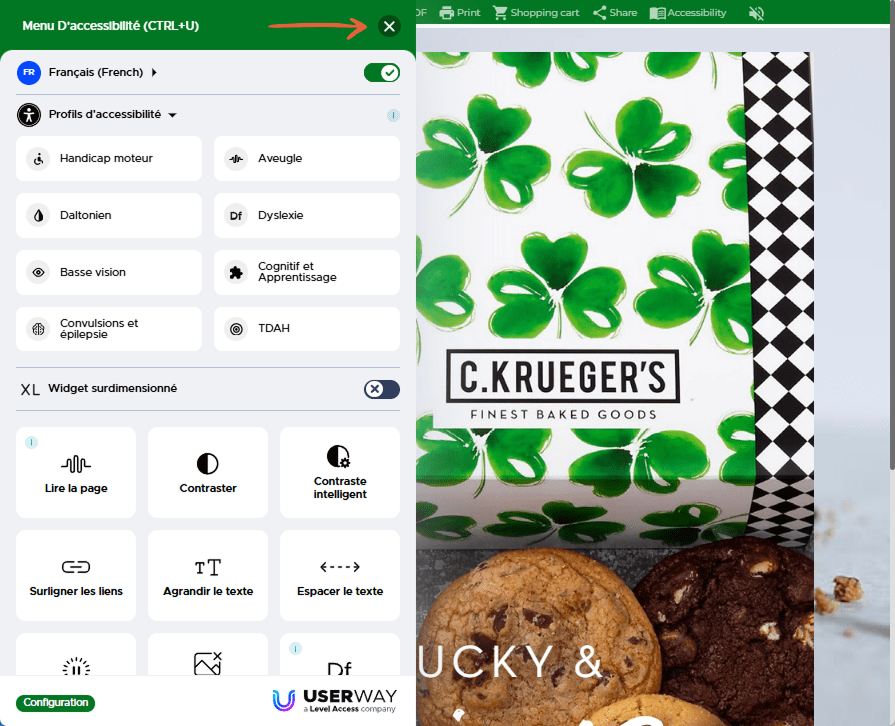 Menu d’accessibilité ouvert dans le logiciel flipbook avec une flèche pointant vers le bouton 'X' po