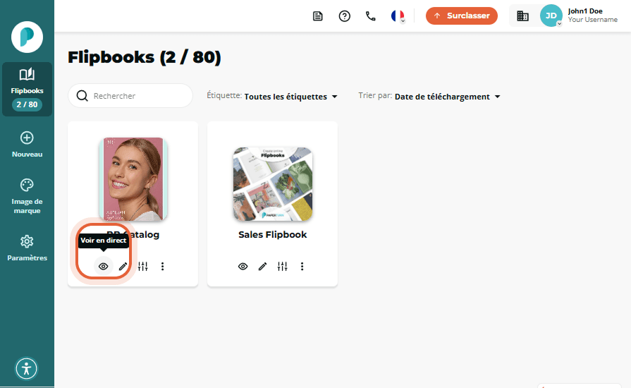 Aperçu des flipbooks présentant deux vignettes ; la première carte est entourée et affiche l’infobul