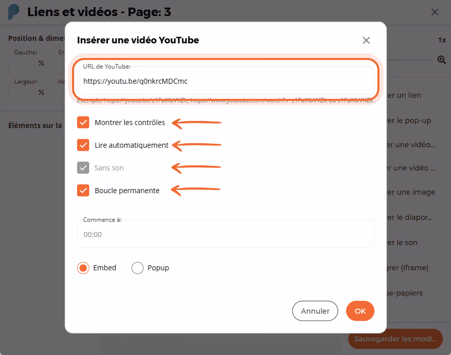 Fenêtre des paramètres de vidéo YouTube affichant l’URL et les cases à cocher pour les contrôles, la Fenêtre des paramètres de vidéo YouTube affichant l’URL et les cases à cocher pour les contrôles, la