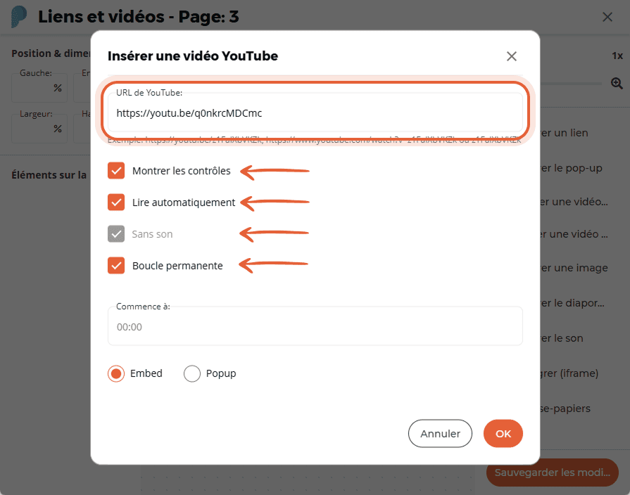 Fenêtre des paramètres de vidéo YouTube affichant l’URL et les cases à cocher pour les contrôles, la