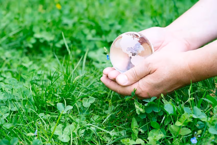 Person holding globe near grass