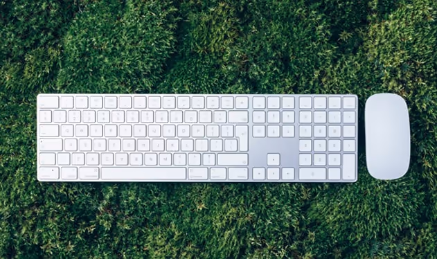 A keyboard and mouse on grass A keyboard and mouse on grass