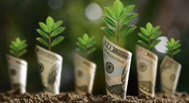 Greenwashing vs Green Marketing Greenwashing vs Green Marketing