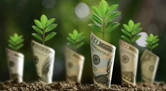 Greenwashing vs Green Marketing