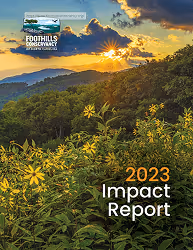 Impact Report Flipbook