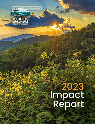 Impact Report Flipbook