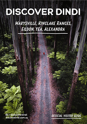 Discover Dindi Flipbook