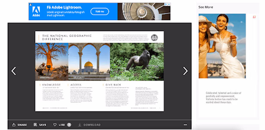 Issuu viewer