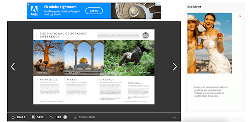Issuu viewer
