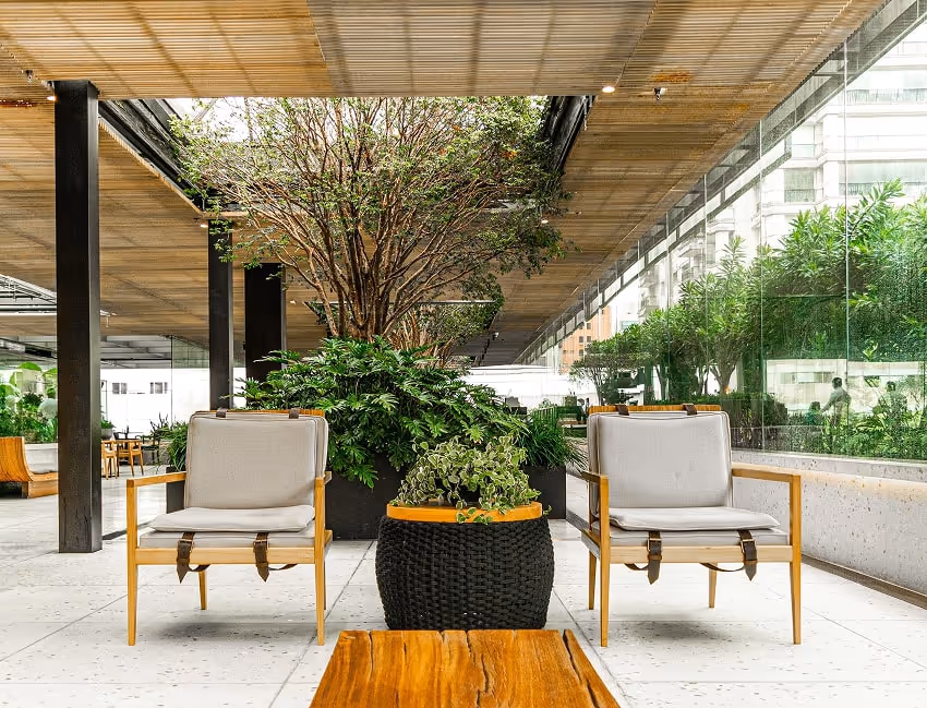 A lobby full of plants A lobby full of plants