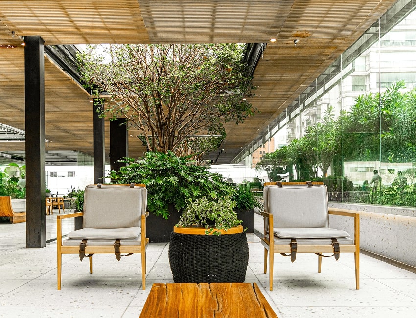 A lobby full of plants