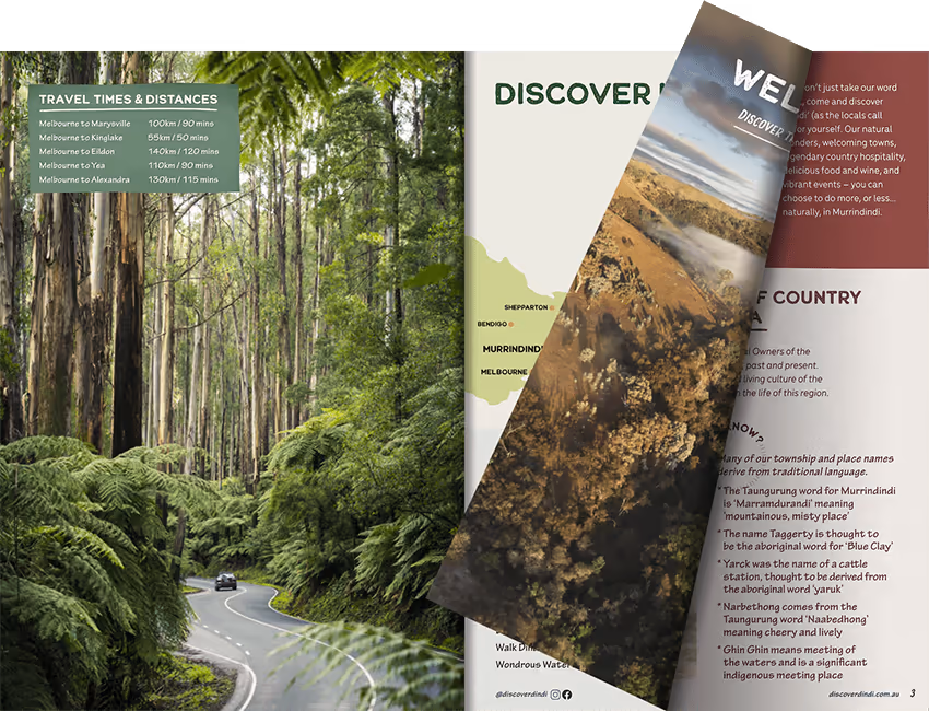 Online Brochure Maker Example