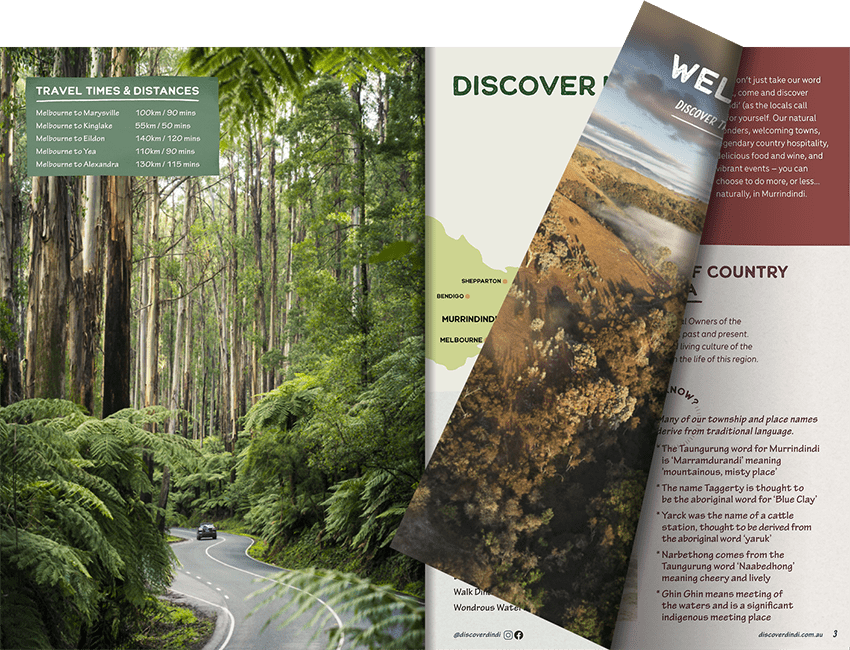 Online Brochure Maker Example