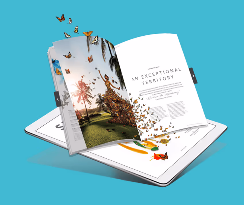 Digital publication created with Paperturn (SaaS software)