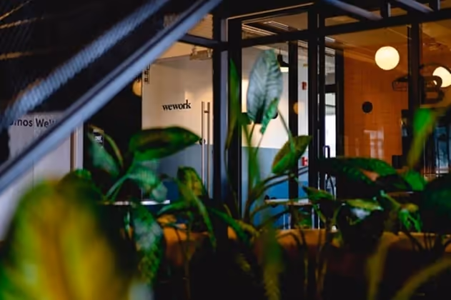 Plants in an office Plants in an office
