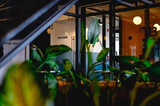 Plants in an office