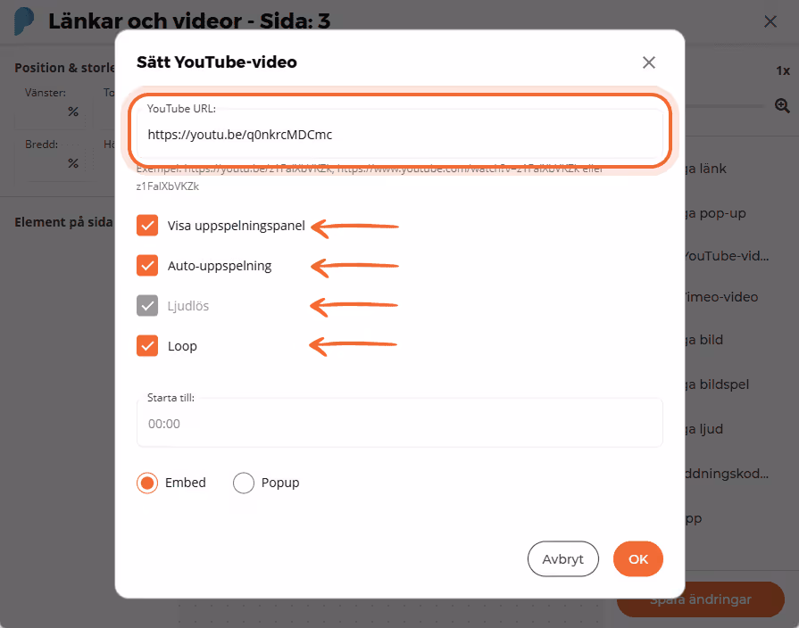 Inställningsfönster för YouTube-video som visar videolänk och kryssrutor för kontroller, autoplay, l Inställningsfönster för YouTube-video som visar videolänk och kryssrutor för kontroller, autoplay, l
