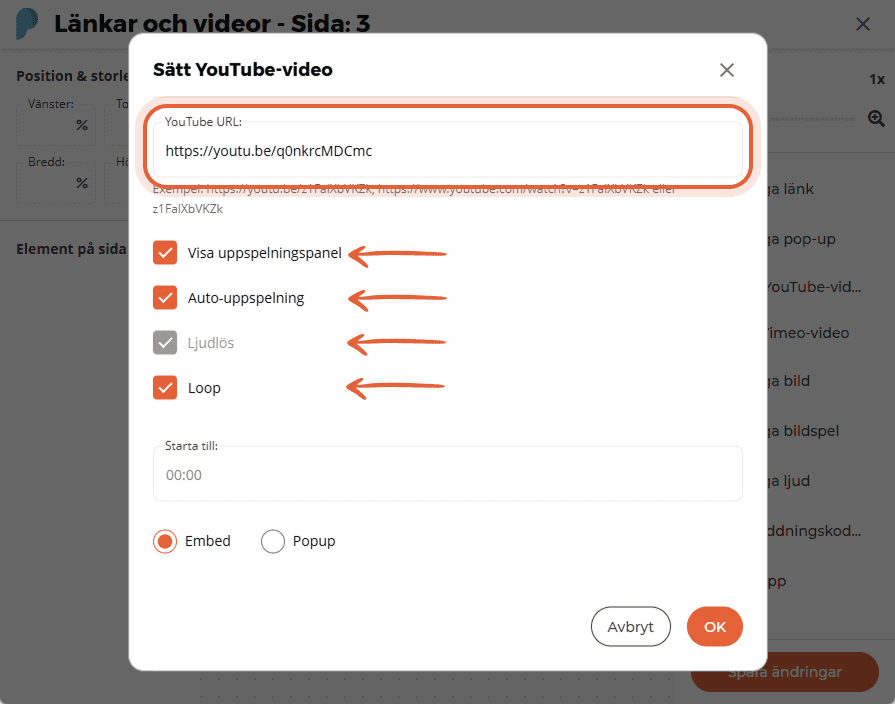 Inställningsfönster för YouTube-video som visar videolänk och kryssrutor för kontroller, autoplay, l