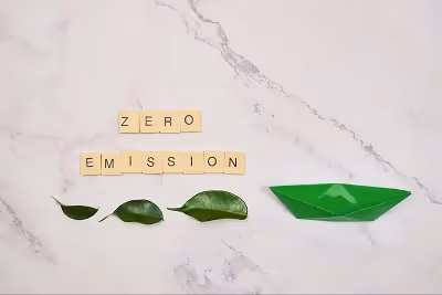 Green leaves and a green paper boat, 