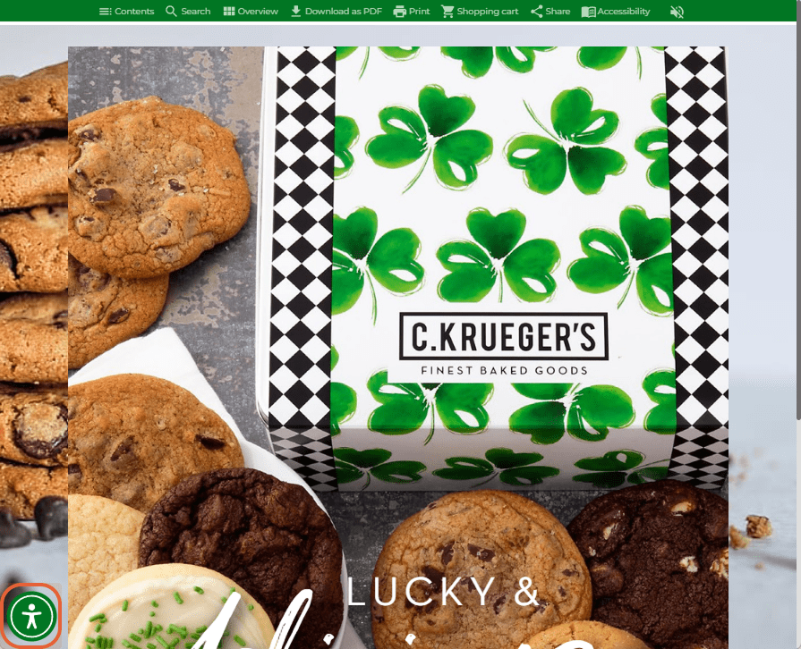 Zoomed-in view of the flipbook with the green Accessibility icon visible in the bottom-left corner.