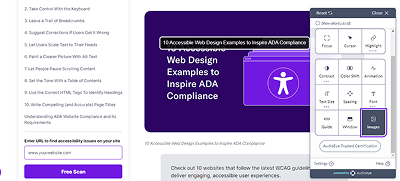 A picture showing how to add ALT text on images