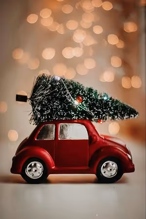 Red car carrying a Christmas tree Red car carrying a Christmas tree