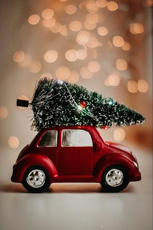 Red car carrying a Christmas tree